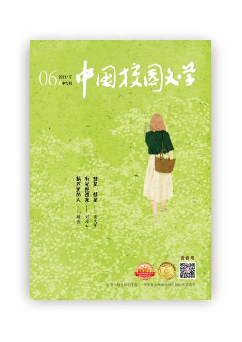 广西的酸嘢就是酸菜吗?有什么不同?—专注解决你的问题