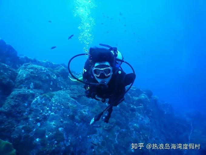 梦想的后院
