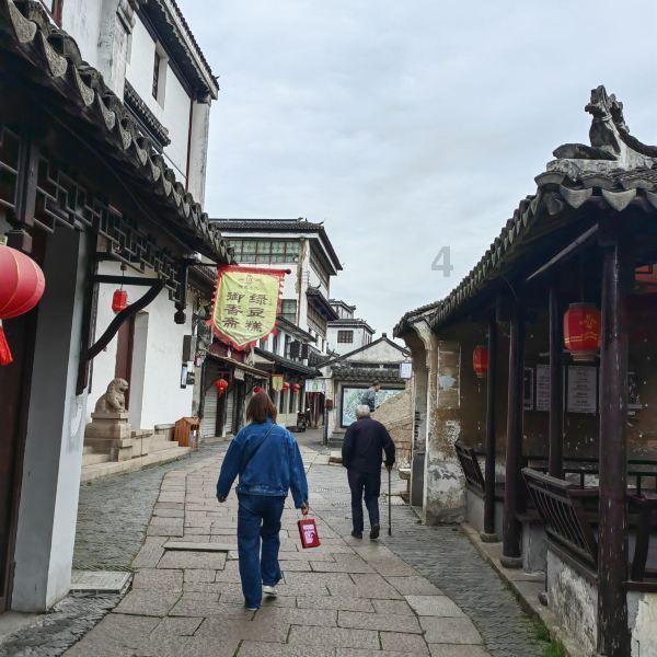 虫虫助手下载